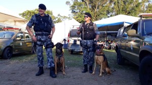 Militares e seus cães auxiliando na segurança