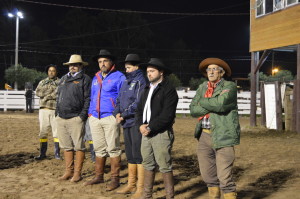 Narradores da Festa